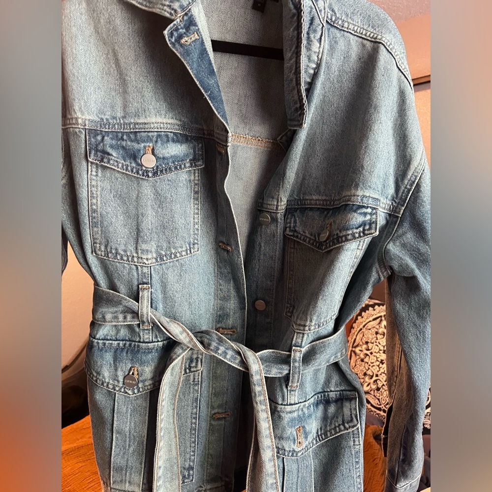 Express Jean Jacket - image 4